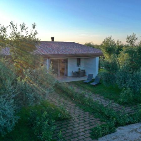 I Secolari Bed & Breakfast Sannicandro di Bari Exterior photo